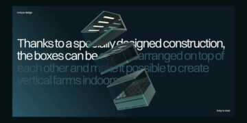 Design in Movement: The Animation Ideas Behind Inexperienced Stack