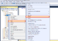 Learn how to Carry out MS SQL Server Restore with RECOVERY and NORECOVERY Choices
