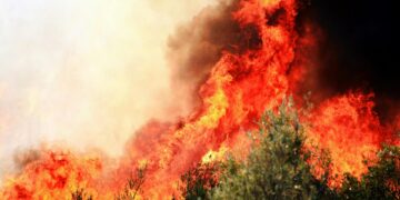 “Danger” is the Actual Story: Framing Local weather as a Enterprise Crucial