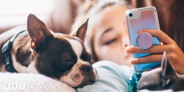 What the On-line Security Act is – and how one can preserve youngsters secure on-line