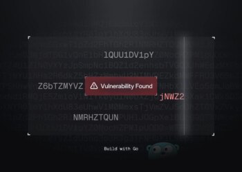 Constructing a Community Vulnerability Scanner with Go — SitePoint