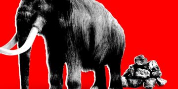 The Trump Administration Is Turning Science In opposition to Itself