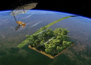 The world’s largest space-based radar will measure Earth’s forests from orbit