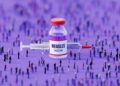 Scared by the Measles Outbreaks within the US? The MMR Vaccine Is the Finest Method to Shield Your self