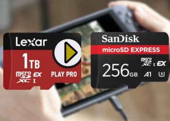 The perfect microSD Categorical playing cards for the Nintendo Change 2