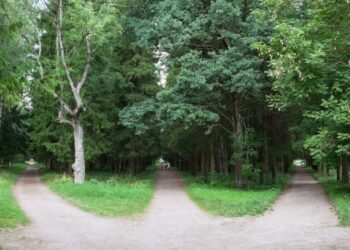 Shifting CVEs previous one-nation management – Sophos Information