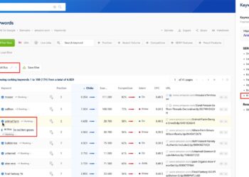 In regards to the Launch, Instruments & Extra