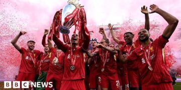 Soccer and different premium TV being pirated at ‘industrial scale’