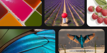 Gasoline your creativity with new generative media fashions and instruments