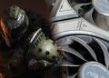 Nvidia desires the RTX 5060 to be your new 1080p every day driver GPU due to large frame-generation boosts