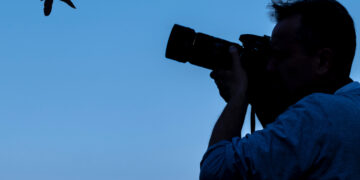 Brazilian artist makes use of AI to show a hen’s music into music