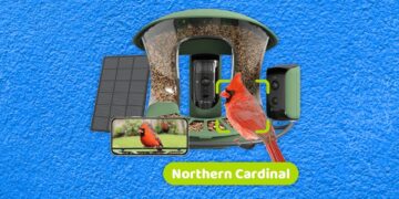 Finest Chook Feeders With Cameras, Examined and Reviewed (2025)