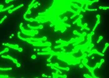 Matrix Sentinels: Constructing Dynamic Particle Trails with TSL