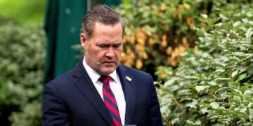 Mike Waltz Has One way or the other Gotten Even Worse at Utilizing Sign