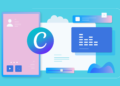 Canva Consumer and Income Statistics in 2025