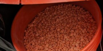 Police Tout Darknet International Takedown ‘Operation RapTor’