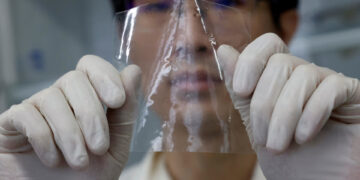 Scientists develop plastic that dissolves in seawater inside hours