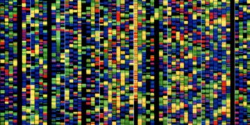 Google’s new AI will assist researchers perceive how our genes work