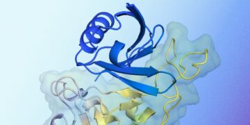 AlphaProteo generates novel proteins for biology and well being analysis