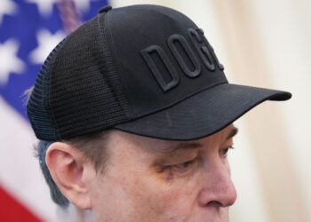 Elon Musk’s introduction to politics