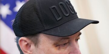 Elon Musk’s introduction to politics