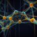 How a Psychology Background Makes for Higher AI Adoption
