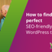 The way to discover the proper Search engine optimisation-friendly WordPress theme • Yoast