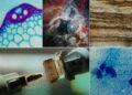 Accelerating scientific discovery with AI | MIT Information