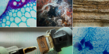 Accelerating scientific discovery with AI | MIT Information