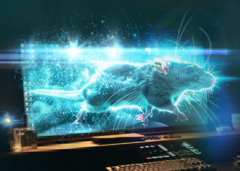 Navigating the labyrinth of forks