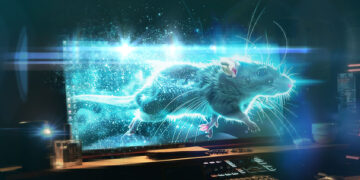 Navigating the labyrinth of forks