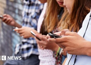 We’re taking a look at additional on-line security guidelines, says minister