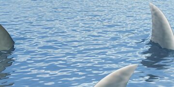 What’s Extortionware? How Cyberextortion Differs From Ransomware