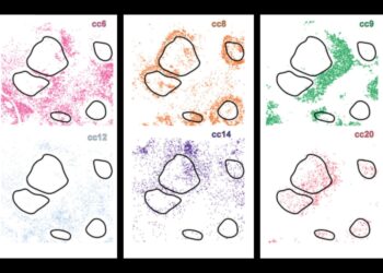 New AI system uncovers hidden cell subtypes, boosts precision medication | MIT Information
