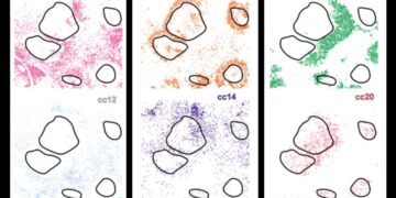 New AI system uncovers hidden cell subtypes, boosts precision medication | MIT Information