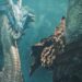 Lagiacrus, underwater fight, Seregios and all the things else coming to Monster Hunter Wilds with Title Replace 2