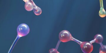 On-Premise vs SaaS Information Annotation Platforms In contrast