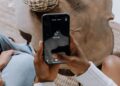3 Content material Advertising Classes from TikTok That Skilled Providers Companies Cannot Ignore