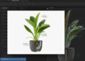 From Static to Dynamic: 3 Micro-Animations Each Internet Developer Can Grasp with Rive