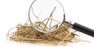 Utilizing AI to determine cybercrime masterminds – Sophos Information