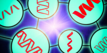 Researchers glimpse the inside workings of protein language fashions | MIT Information