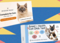 I Tried the Finest At-Residence Pet DNA Take a look at Kits on My Two Cats (2025)