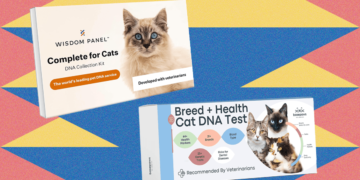 I Tried the Finest At-Residence Pet DNA Take a look at Kits on My Two Cats (2025)
