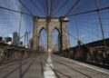 Greatest Web Suppliers in Brooklyn, New York