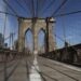 Greatest Web Suppliers in Brooklyn, New York