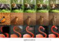A brand new solution to edit or generate photos | MIT Information