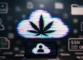 Almost 1M SSNs and Well being Data Uncovered in Marijuana Affected person Database