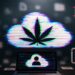 Almost 1M SSNs and Well being Data Uncovered in Marijuana Affected person Database
