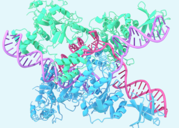 A glimpse of the following era of AlphaFold