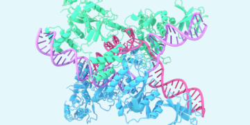 A glimpse of the following era of AlphaFold